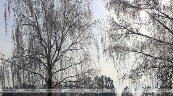 МЧС напоминает о правилах безопасности во время сильного ветра МЧС напоминает о правилах безопасности во время сильного ветра