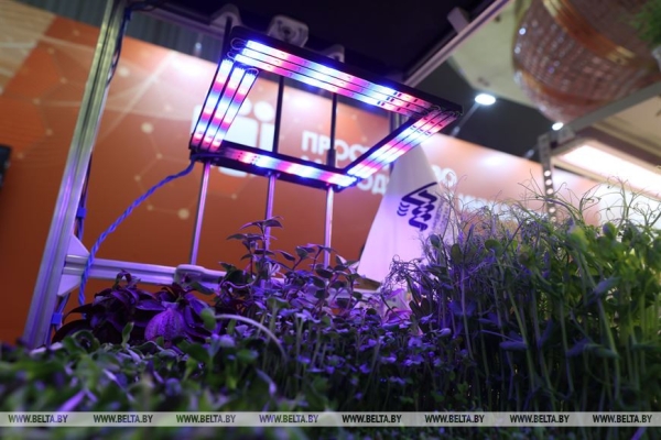 Сергеенко: выставка "Беларусь интеллектуальная" впечатляет разнообразием