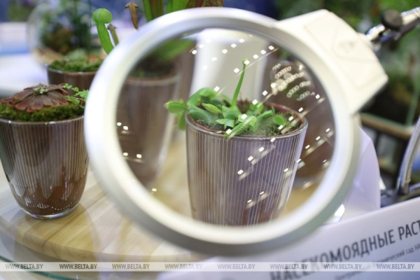 Гусаков о выставке "Беларусь интеллектуальная": общество должно знать, чем живет наука и каковы результаты Гусаков о выставке "Беларусь интеллектуальная": общество должно знать, чем живет наука и каковы результаты