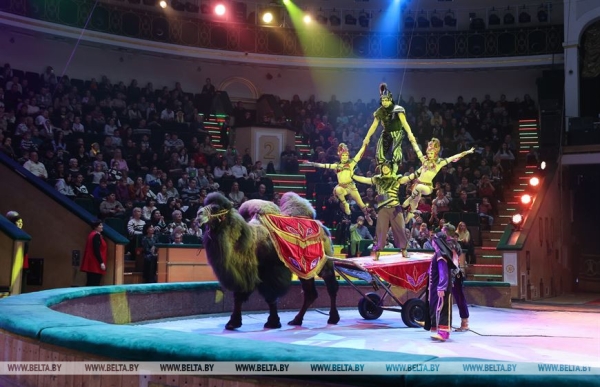 Дрессировщик попугаев: самая сильная цирковая школа - в Беларуси и России Дрессировщик попугаев: самая сильная цирковая школа - в Беларуси и России