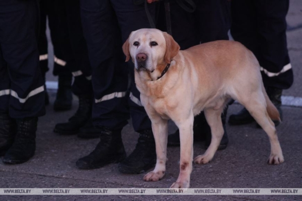Синявский: белорусские спасатели готовы к выполнению аварийно-спасательных работ в Турции