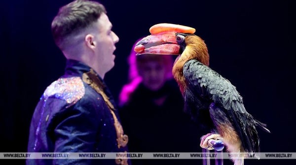 Дрессировщик попугаев: самая сильная цирковая школа - в Беларуси и России Дрессировщик попугаев: самая сильная цирковая школа - в Беларуси и России