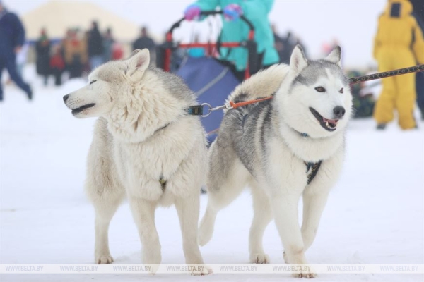 Кубраков о зимнем празднике МВД: это возможность для сотрудников отдохнуть и провести время с семьей