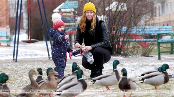 Пособия по уходу за ребенком в возрасте до трех лет увеличиваются с 1 февраля Пособия по уходу за ребенком в возрасте до трех лет увеличиваются с 1 февраля