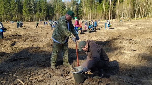 Герасимов об акциях по благоустройству и высадке леса: это благородное и полезное дело