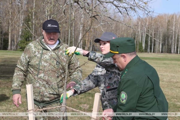 "Каждый год надо привносить изюминку". Лукашенко на субботнике трудится в мемориальном комплексе "Хатынь"