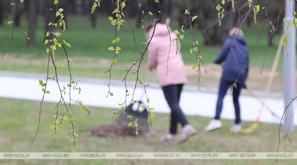 Республиканский субботник пройдет сегодня в Беларуси