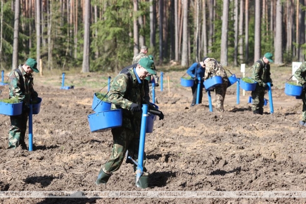 Более Br12 млн собрано по итогам республиканского субботника Более Br12 млн собрано по итогам республиканского субботника