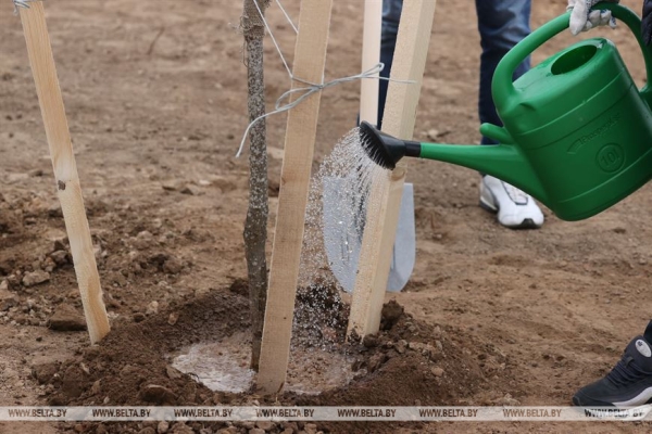 ФОТОРЕПОРТАЖ: Республиканский субботник проходит в Беларуси ФОТОРЕПОРТАЖ: Республиканский субботник проходит в Беларуси
