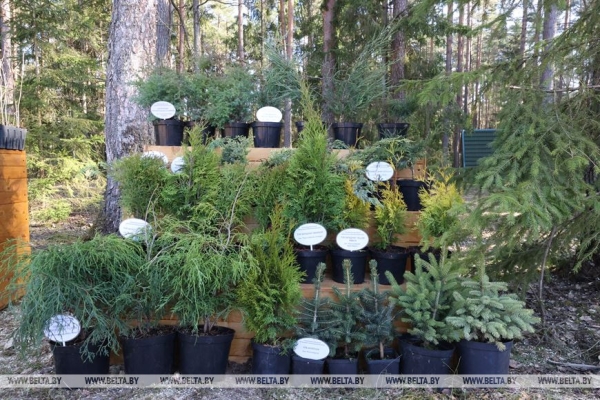 Более Br12 млн собрано по итогам республиканского субботника Более Br12 млн собрано по итогам республиканского субботника