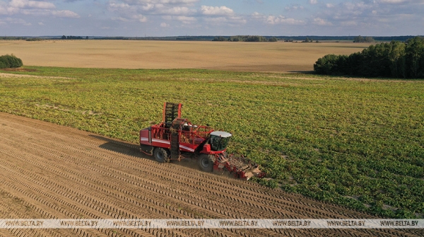 Рост экспорта сахара и мелиорация: Заяц о планах в сельском хозяйстве на этот год