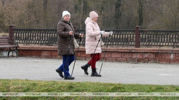 В Беларуси средний размер пенсии по возрасту неработающего пенсионера в мае составит Br705