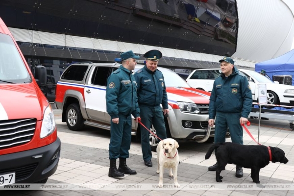 Рев моторов, выступление ОМОНа и кинологов. Как в Минске праздновали столетие БФСО "Динамо" Рев моторов, выступление ОМОНа и кинологов. Как в Минске праздновали столетие БФСО "Динамо"
