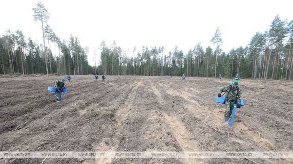 Более Br12 млн собрано по итогам республиканского субботника Более Br12 млн собрано по итогам республиканского субботника