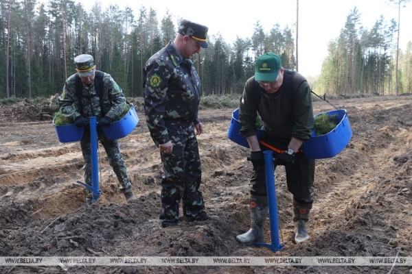 Более Br12 млн собрано по итогам республиканского субботника Более Br12 млн собрано по итогам республиканского субботника