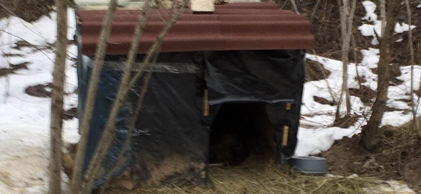 Тутэйшы Хаціка Тутэйшы Хаціка