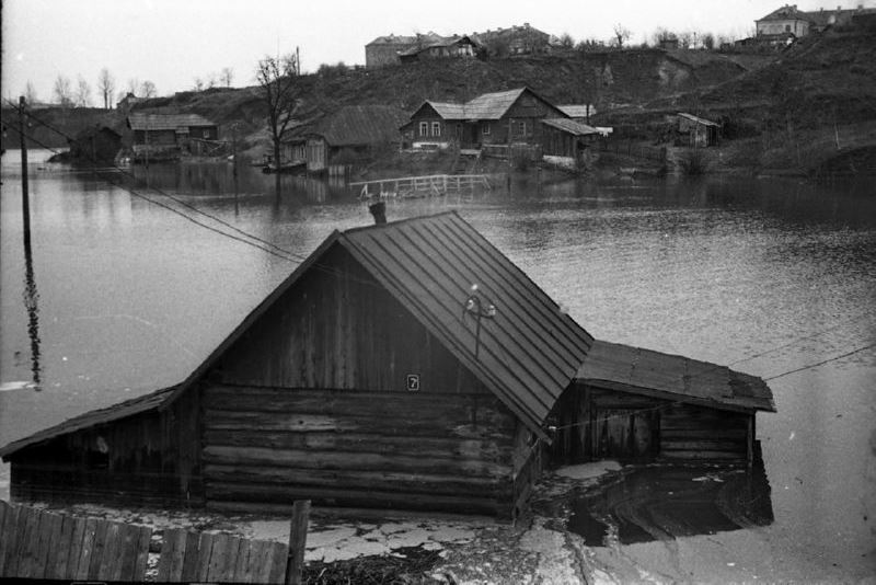 Как золотая рыбка в Витебске утонула Как золотая рыбка в Витебске утонула