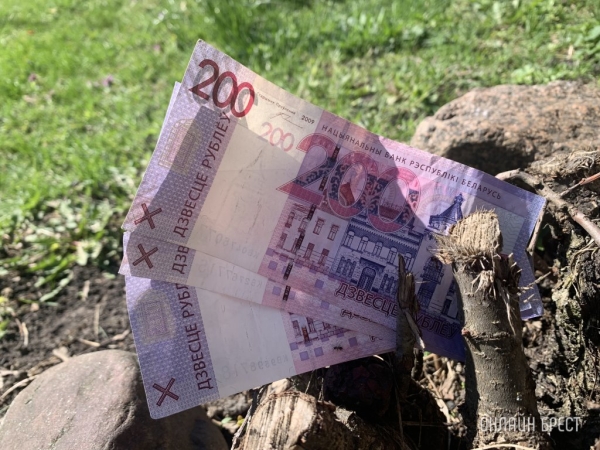 На что у белорусов уходит больше всего денег. Смотрим на цифры На что у белорусов уходит больше всего денег. Смотрим на цифры