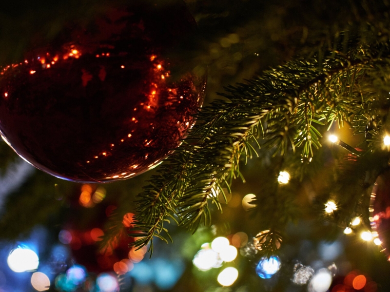 В Витебске устанавливают самую высокую новогоднюю ёлку в Европе
В Витебске устанавливают самую высокую новогоднюю ёлку в Европе