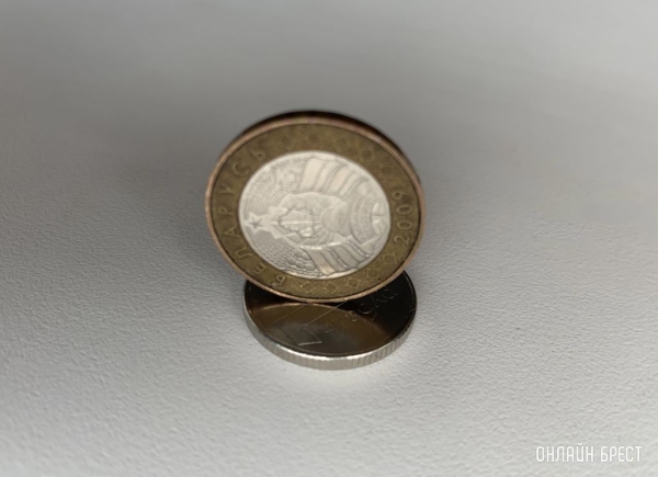 Топ-5 отраслей в Беларуси с самым большим риском банкротства Топ-5 отраслей в Беларуси с самым большим риском банкротства