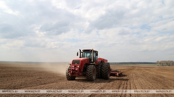 Посевную кампанию в Беларуси планируют завершить до 1 мая