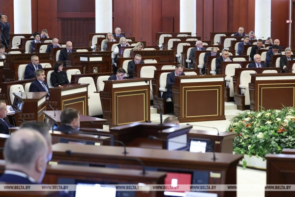 Депутаты приняли в первом чтении законопроект о ВНС